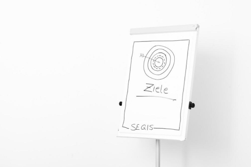 SEQIS - Kurzfristiges Engagement zum nachhaltigen Start 2024