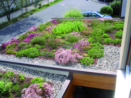 Carport und Wohnhaus für die Natur zurückgewinnen