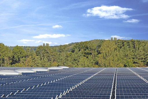 Solarstrom vom grünen Flachdach - warum nicht?