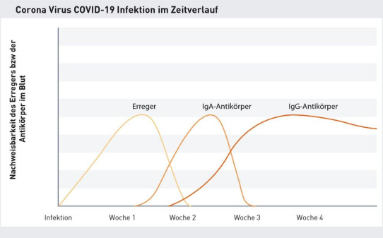 Labor Dr. Pachmann in Bayreuth testet auf Coronavirus SARS-CoV-2 Antikörper und Immunität