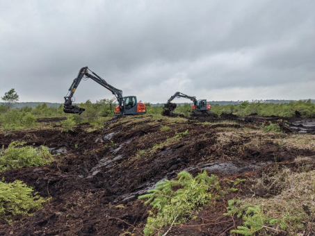 Totes Moor: Neue Wälle sollen helfen, Wasser zu speichern