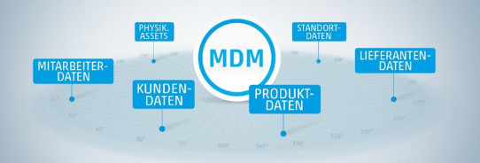 Master Data Management umsetzen – aber wie?