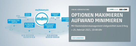 Mehr Transparenz im Master Data Management (MDM)