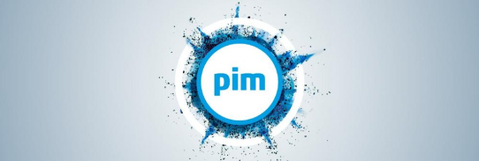 PIM-Projekte erfolgreich umsetzen