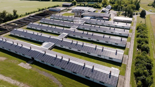 SD Betriebsführung GmbH: Management, Monitoring und Maintenance von Solaranlagen