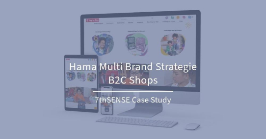 Case Study zu den Hama Multi Brand B2C Shops