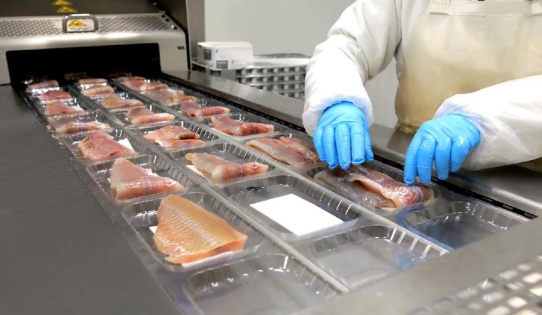 Bizerba erstmalig auf der Seafood Expo Global 2025: Intelligente Lösungen für die Fischverarbeitung
