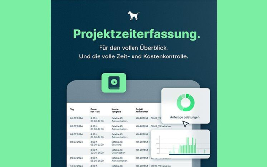 Projekte zum Ziel führen mit askDANTE Projektzeiterfassung für KMU