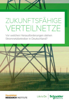 Zukunftsfähige Verteilnetze: Schneider Electric und HRI präsentieren Umfrage zur Transformation der Stromnetzinfrastruktur
