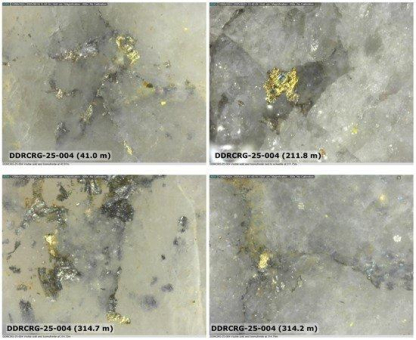 Sitka Gold: Über 200 Meter durchgehende Goldvererzung und überall sichtbares Gold!