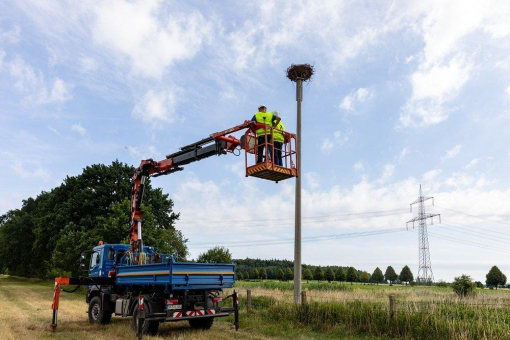 WEMAG unterstützt Beringung junger Fischadler