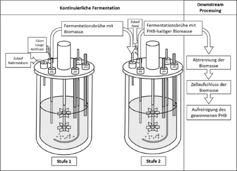 Kontinuierliche Produktion von Biopolymeren