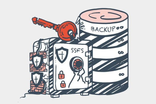 Warum kryptografische Schlüssel genauso wichtig sind wie Ihre Daten