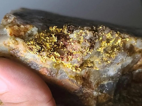 Sranan Gold findet 36,7 g/t Gold über 5 m in Schürfgraben nahe Randy’s Pit auf Tapanahony-Projekt