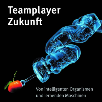 Innovatives Buch-App-Konzept macht MINT-Themen für Jugendliche erlebbar und zeigt spannende Berufsfelder der Zukunft auf