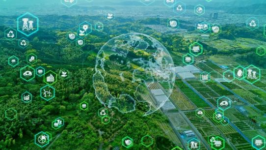 Digitale Pioniere für eine Grüne Zukunft