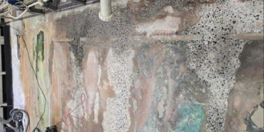 Galvanoclean: Reinigung ist kein „Nice-to-have“