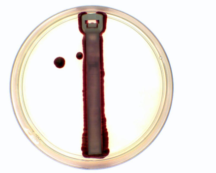 Ty-Fast® Ag+® Kabelbinder hemmen das Wachstum von Mikroorganismen