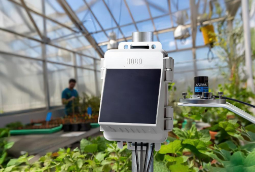 Mehr Flexibilität im Außeneinsatz: Der neue RXW-ANA-868 als Schlüssel zur einfachen Sensorintegration