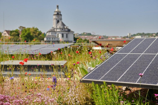 Ganzheitliche Lösungen für nachhaltige Gebäude: Solarstrom trifft Dachbegrünung
