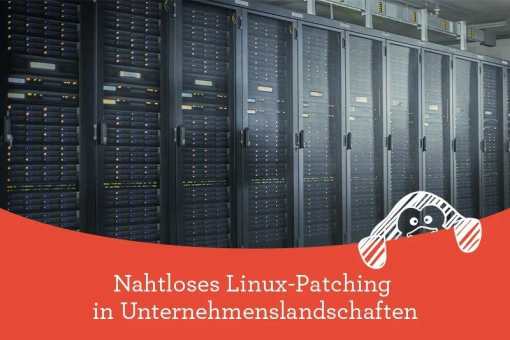 Nahtloses Linux-Patching in Unternehmenslandschaften