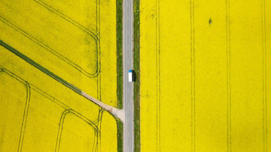 Kontrolle gegen Betrug bei Biokraftstoffen: Landwirtschaft und Ernährung profitieren auch