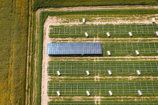 ABO Energy errichtet Solar- und Hybridprojekte jetzt auch als EPC-Dienstleister