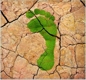 SKZ bietet flexible Erstellung von CO2-Bilanzen dank Automatisierung an