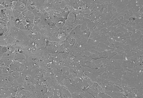 Innovatives Verfahren zur Beschleunigung des PLA-Abbaus: Neues Projekt zur Entwicklung industriell anwendbarer, umweltfreundlicher Kunststofflösungen