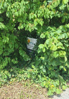 Der Lauf der Zeit schreitet voran, aber iKratos bleibt