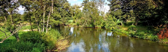 Weltneuheit an der Neiße: Künstliche Intelligenz revolutioniert Mikroplastik-Kartierung