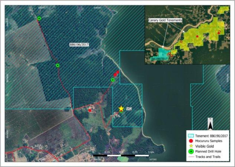 Canary Gold Corp. identifiziert neue Ausbisse von „Mocururu“ auf seinem Projekt Madeira River in Rondônia, Brasilien