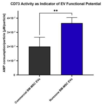 NurExone plant die klinische Herstellung von ExoPTEN im kleinen Maßstab zur Vorbereitung zukünftiger First-in-Human-Anwendungswege