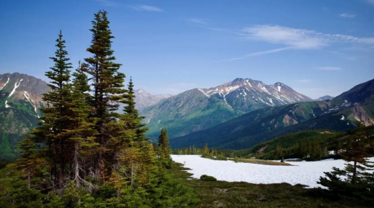 Brixton Metals: Neue Gold- und Silbertreffer erweitern Trapper-Zone abermals!