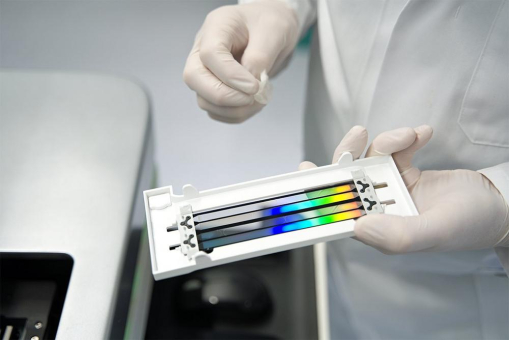 Illumina vs. Oxford Nanopore Technologies: Zwei komplementäre Sequenzierplattformen für die moderne taxonomische Analyse mikrobieller Gemeinschaften