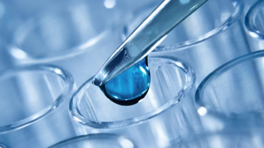 Business-Impact in Rekordzeit