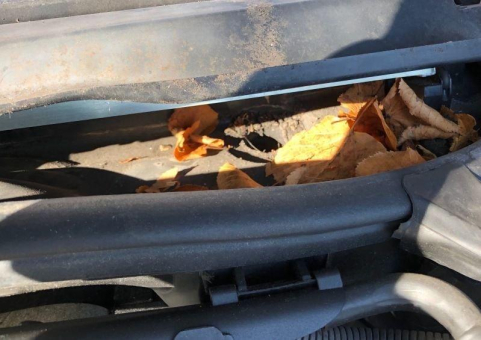 TÜV SÜD: Lüftungseinlässe und Abflüsse frei halten