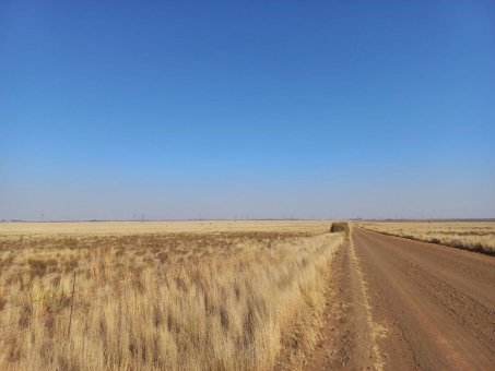 Südafrikanische Solarprojekte in Ausschreibung erfolgreich