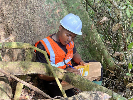 Wenn Chemie Vertrauen schafft: Die Rolle der Stabilisotopenanalyse in der Herkunftsüberprüfung