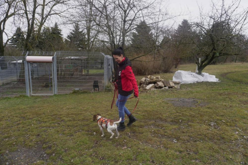 Mit Energie und Herz: Konzern-Mitarbeiter unterstützen das Tierheim und weitere soziale Einrichtungen in Weimar
