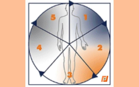 IWiG - Digitalisierung beginnt nicht mit IT – sondern mit funktionierenden Prozessen