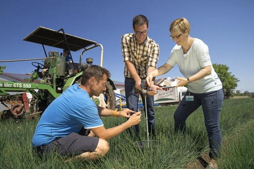 Sensorik zur schnellen elektronischen Detektion von Nitratkonzentrationen in Bodenproben