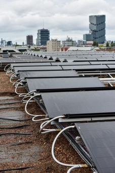 Grüne Energie vom grünen Dach