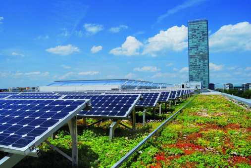 Solar und Grün passen(d) aufs Dach