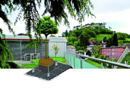 Bäume auf Dächern richtig verankern