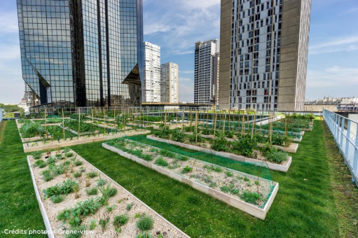 Ein lehrreiches und schmackhaftes Dach