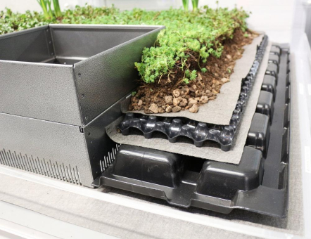 Retentions-Gründach reduziert Hochwassergefahr