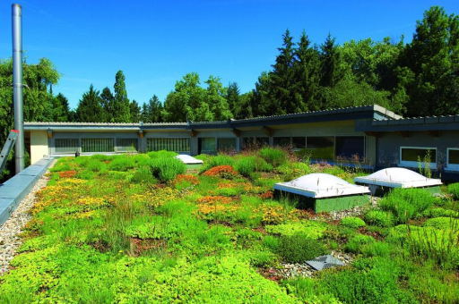 “Bewässerte Extensivbegrünung” ist effizient