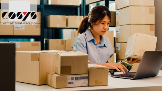 Lagerverwaltungssoftware für kleine Unternehmen als Schlüssel zu mehr Effizienz