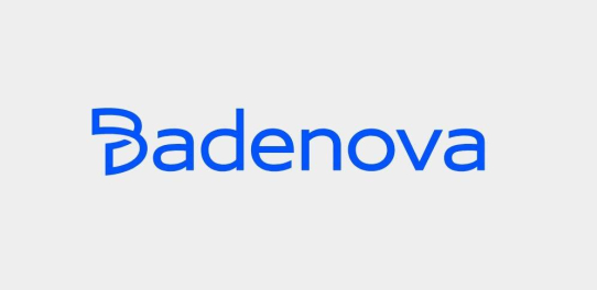 badenova | Aufbau der Integrationsstrategie – Projekt Scope